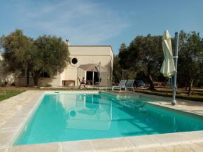 Villa Felline in 14000 qm großen Olivenhain